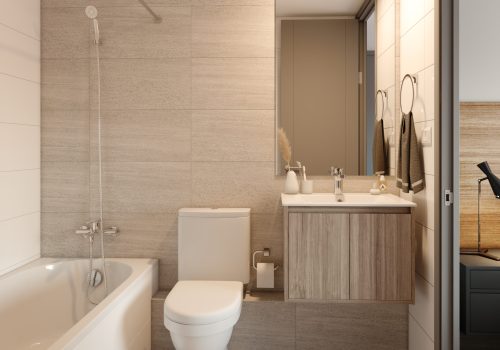 VICENTE VALDES_BAÑO